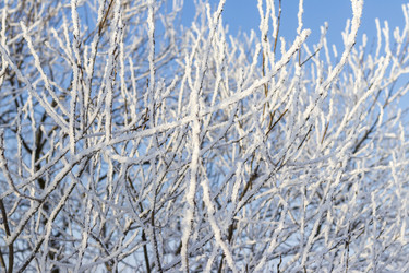 Similar image 22470706