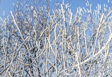 Similar image 22470722