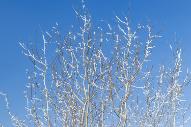 Similar image 22470732