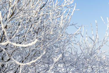 Similar image 22470733