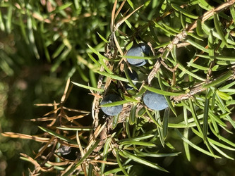 Similar image 22456480