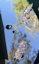 Similar image 22455684