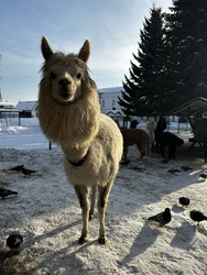 Similar image 22455685