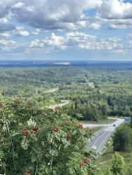 Similar image 22455687