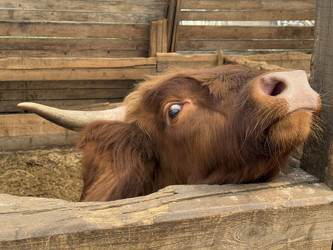 Similar image 22455688