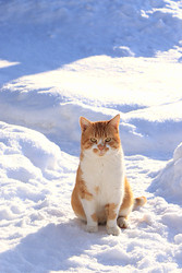 Similar image 22455143