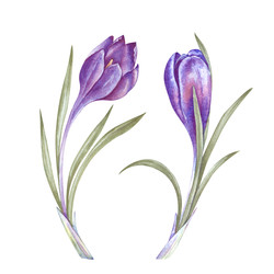 Similar image 22460697