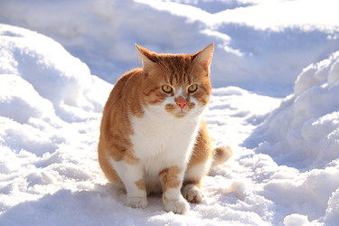 Similar image 22455151