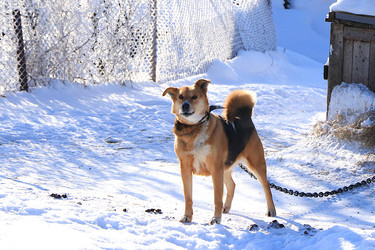 Similar image 22455153