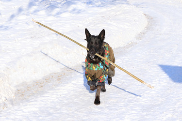 Similar image 22455155