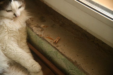 Similar image 22470519