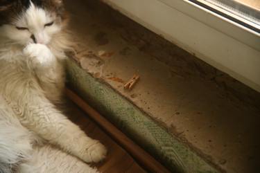 Similar image 22470521