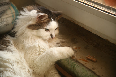 Similar image 22470522