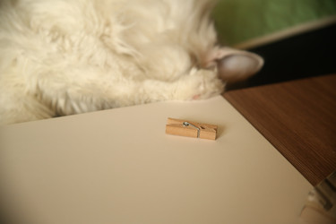 Similar image 22470524