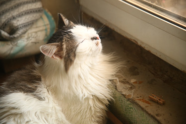 Similar image 22470525