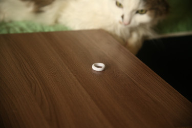 Similar image 22470533