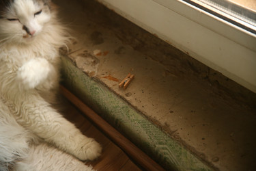 Similar image 22470534