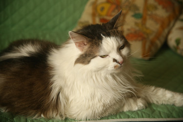 Similar image 22470535