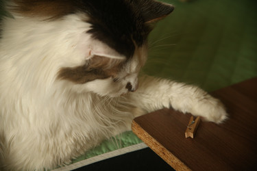 Similar image 22470542