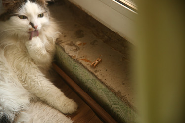 Similar image 22470552