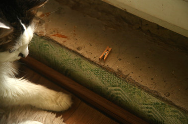 Similar image 22470554