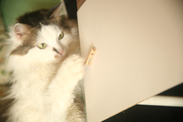 Similar image 22470555