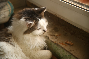 Similar image 22470575