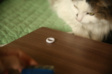 Similar image 22470576