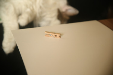 Similar image 22470577