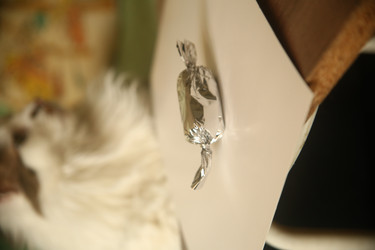 Similar image 22470528