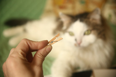 Similar image 22470545