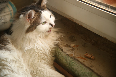 Similar image 22470546