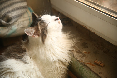 Similar image 22470558