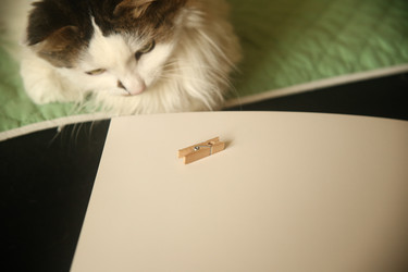 Similar image 22470559