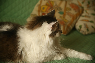 Similar image 22470560