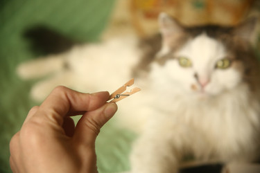 Similar image 22470562