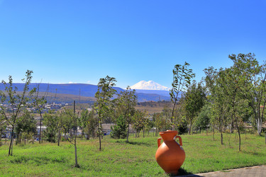 Similar image 22460646