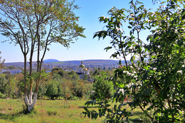 Similar image 22460651