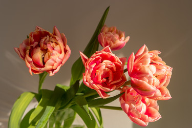 Similar image 22456483