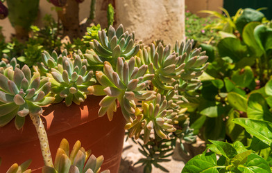 Similar image 22456486