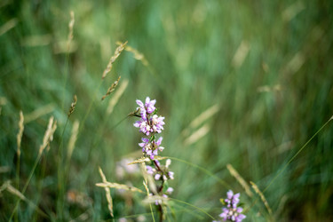 Similar image 22475357