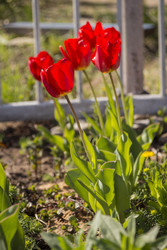 Similar image 22456441