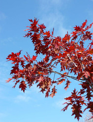 Similar image 22456598