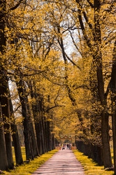 Similar image 22456749