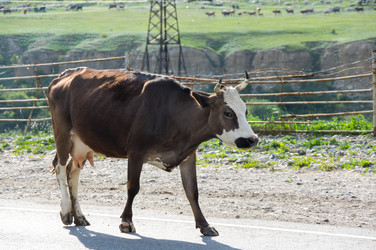 Similar image 22456755