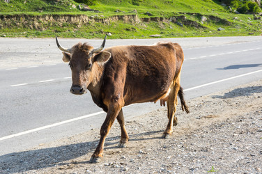 Similar image 22456765