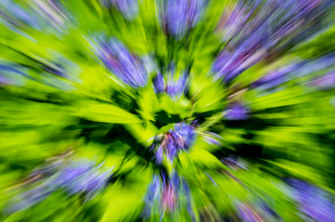 Similar image 22456777