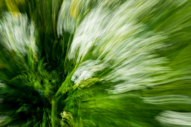 Similar image 22456778