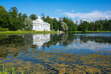 Similar image 22456782