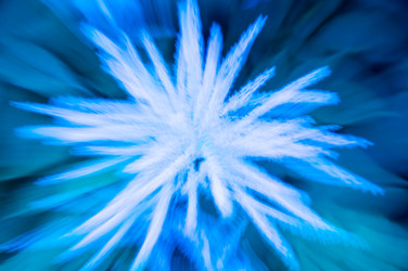 Similar image 22456784